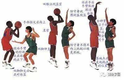 新手学篮球基本功，从零开始的控球、投篮与脚步训练指南