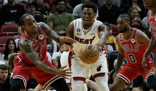 明日NBA大小分预测分析，数据洞察与赛场博弈
