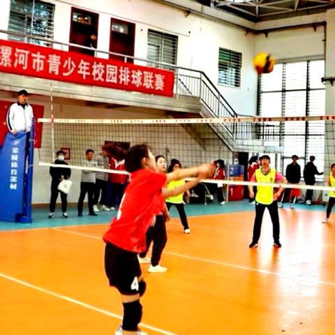 从排球少年第一季免费观看渠道，聊聊这部燃爆青春的运动番