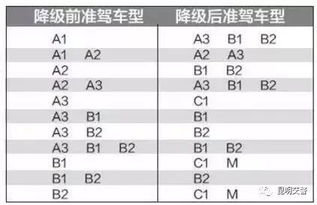 篮球记录表上的秘密语言，P究竟意味着什么？