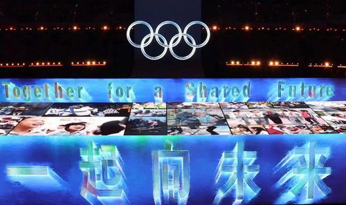 冬奥会开幕式门票多少钱?一场全民关注的天价与无价之争 冬奥会开幕式门票多少钱?一场全民关注的天价与无价之争